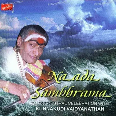 Vatapi Ganapatim Bhaje - Kunnakkudi R. Vaidyanathan album cover 