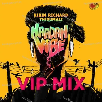 Naadan Vibe - Ribin Richard album cover 