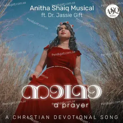 Naadha - A Prayer - Anitha Shaiq album cover 