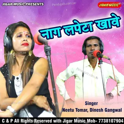 Naag Lapeta Khave - Neetu Tomar Dinesh Gangwal album cover 