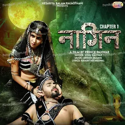 Naagin - Sonu Kanwar album cover 