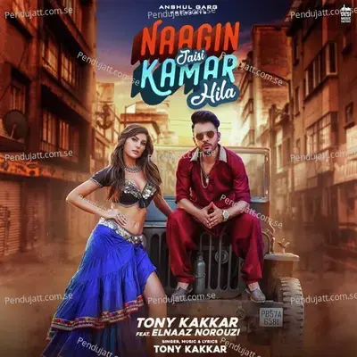 Naagin Jaisi Kamar Hila - Tony Kakkar album cover 