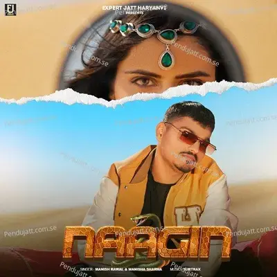 Naagin - Manish Rawal album cover 