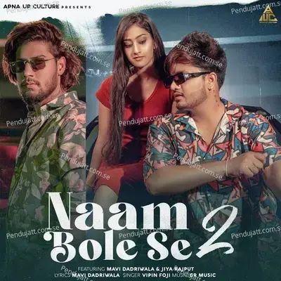 Naam Bole Se 2 - Vipin Foji album cover 