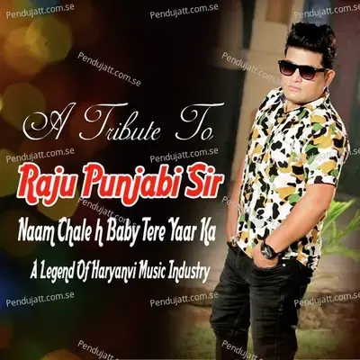 Naam Chale H Baby Tere Yaar Ka - Raju Punjabi album cover 