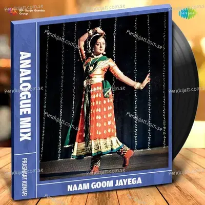 Naam Goom Jayega - Analogue Mix - Prashant Kumar album cover 