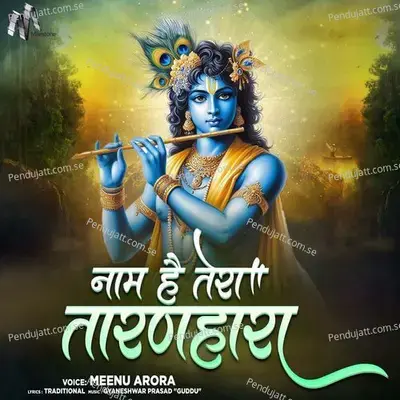 Naam Hai Tera Taran Haara - Meenu Arora album cover 