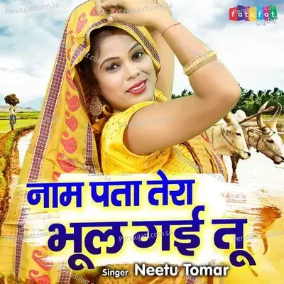 Naam Pata Tera Bhool Gai Tu - Neetu Tomar album cover 