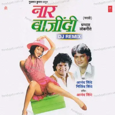 Khedanchhi Pauni - Anand Shinde album cover 