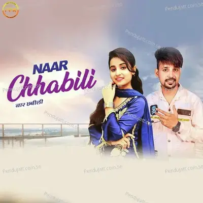 Naar Chhabili - Renuka Panwar album cover 