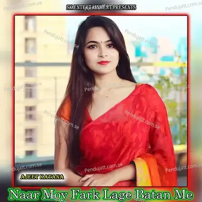 Naar Moy Fark Lage Batan Me - Amit Kumar