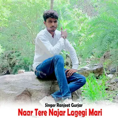 Naar Tere Najar Lagegi Mari - Ranjeet Gurjar album cover 