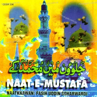 Too Karim Hai Too Rahim Hai - Fasih Uddin Soharwardi album cover 