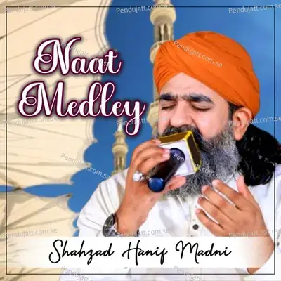 Naat Medley - Shahzad Hanif Madni album cover 