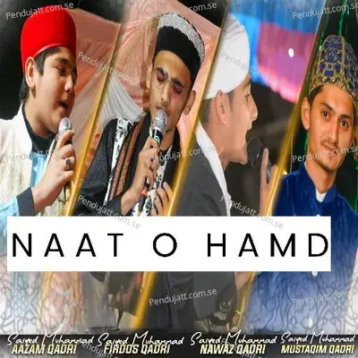 Naat O Hamd - Saiyed Muhammad Nawaz Qadri album cover 