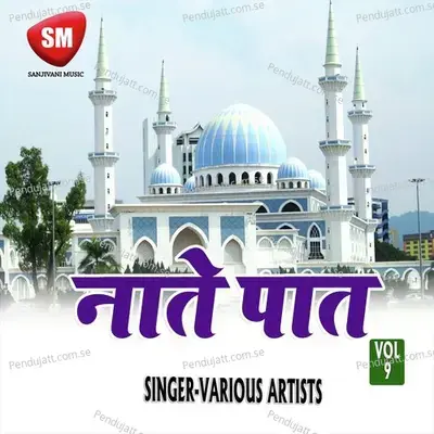 Jo Bhi Nabi Ke Ishq Me - Zainul Abedin album cover 