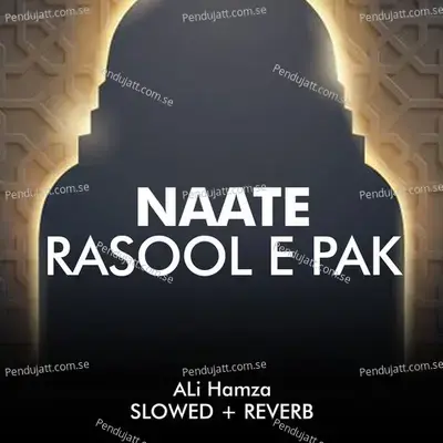 Naate Rasool E Pak Lofi - Ali Hamza album cover 