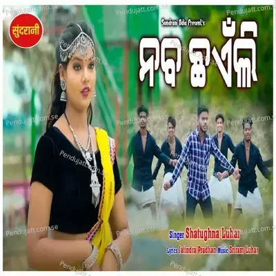 Nab Chhaenli - Satrughna Luhar album cover 