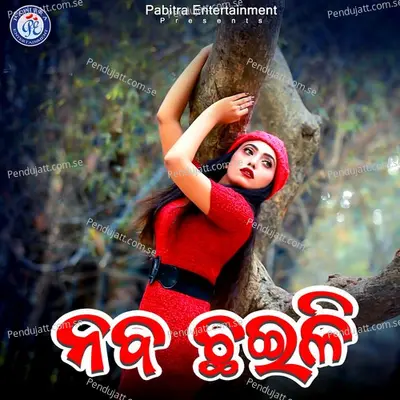 Naba Chaili - Satrughna Luha album cover 