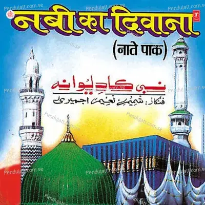 Aap Hai Noore Mujssam - Shamim Naeem Ajmeri album cover 