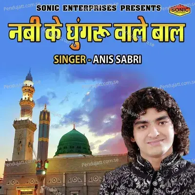 Nabi Ke Ghungaru Wale Baal - Anis Sabri album cover 