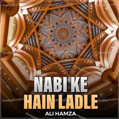 Nabi Ke Hain Ladle - Ali Hamza album cover 