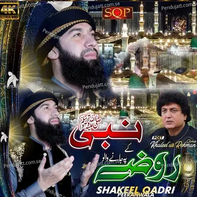 Nabi Ke Rozay Pe Jane Walo - Shakeel Qadri Peeranwala album cover 