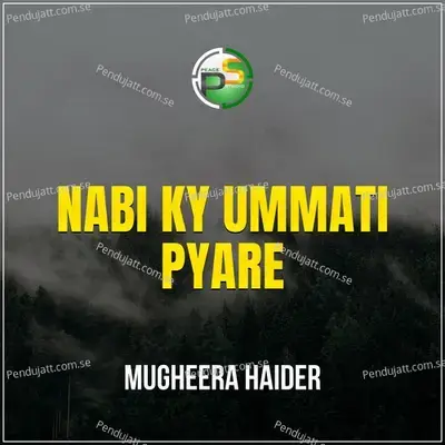 Nabi Ky Ummati Pyare - Mugheera Haider album cover 