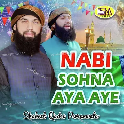 Chukya Haleema Jadon - Shakeel Qadri Peeranwala album cover 