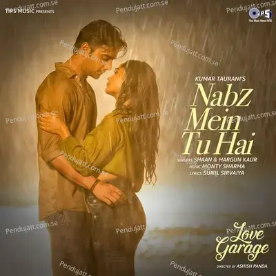 Nabz Mein Tu Hai - Shaan album cover 