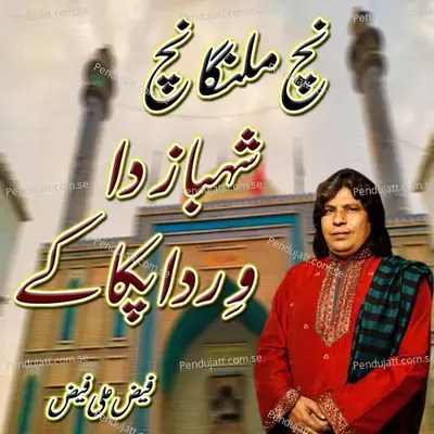 Nach Malnga Nach Shehbaz Da Wird Paka K - Faiz Ali Faiz album cover 