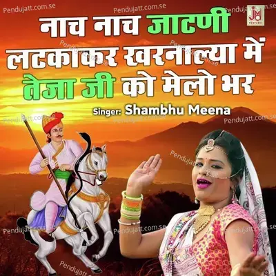 Nach Nach Jaatni Latka Kar Kharnaliya Me Teja Ji Ko Melo Bhar - Shambhu Meena album cover 