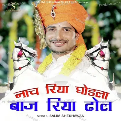 Nach Riya Ghodla Baj Riya Dhol - Salim Shekhawas album cover 