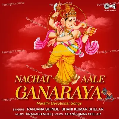 Yellamari Obenamari - Shani Kumar Shelar album cover 