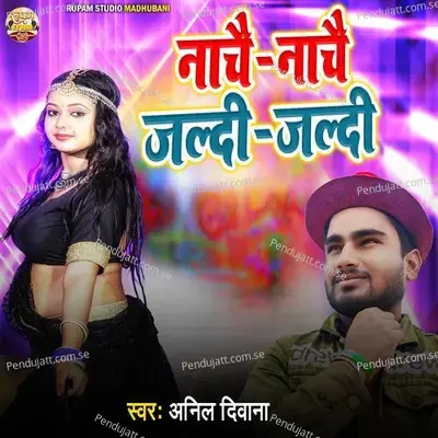 Nachay Nachay Jaldi Jaldi - Anil Diwana album cover 