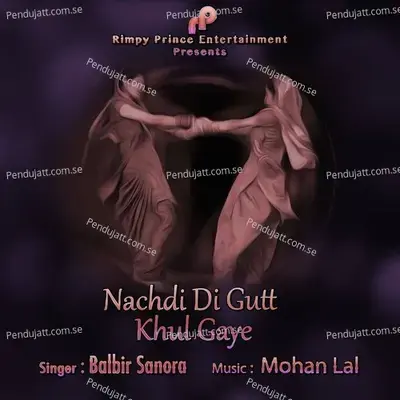 Nachdi Di Gutt Khul Gaye - Balbir Sanora album cover 