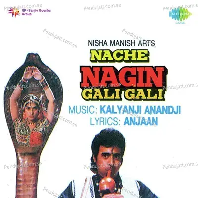Kaise Din Beete Koi - Sadhana Sargam album cover 