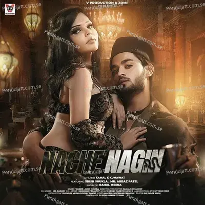 Nache Nagin - Wazzir album cover 