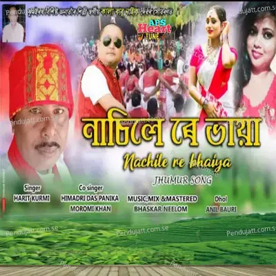 Nachile Re Bhaiya - Harit Kurmi album cover 