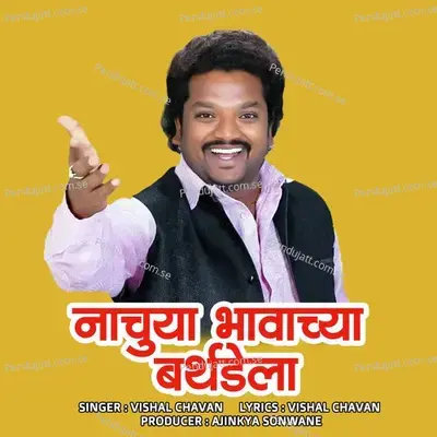 Nachuya Bhavachya Birthdayla - Vishal Chavan album cover 