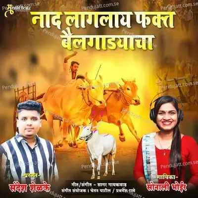 Nad Lagalay Fkt Bailgadya Cha - Chetan Patil