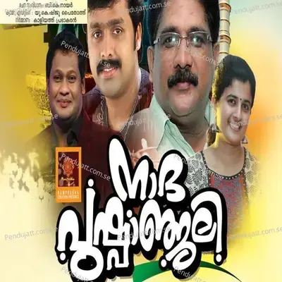 Aanada Dhayini - Chenganoor Sreekumar album cover 