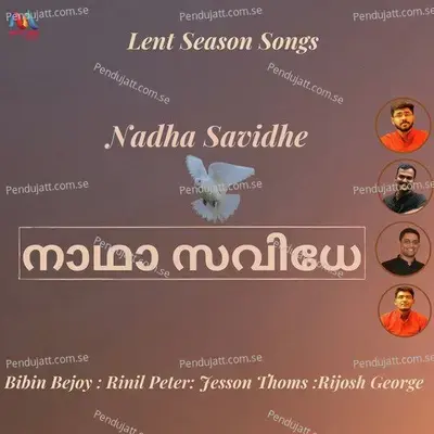 Nadha Savidhe - Bibin Bejoy album cover 