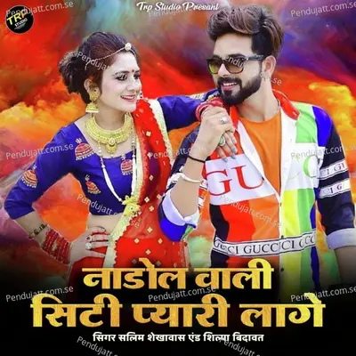 Nadol Wali City Pyaari Laage - Salim Shekhawas album cover 