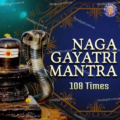 Naga Gayatri Mantra 108 Times - Abhishek Telang album cover 