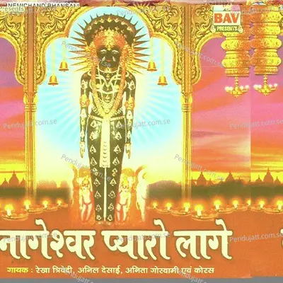 Jay Nageshwar Swami - Anil Desai album cover 