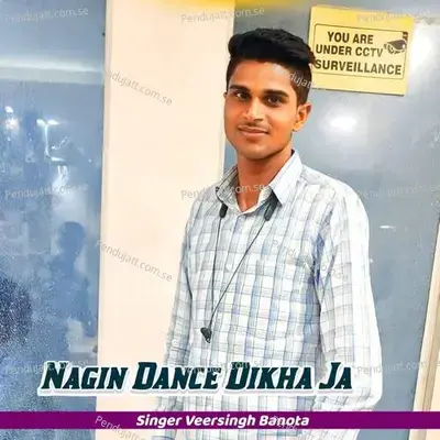 Nagin Dance Dikha Ja - Veersingh Banota