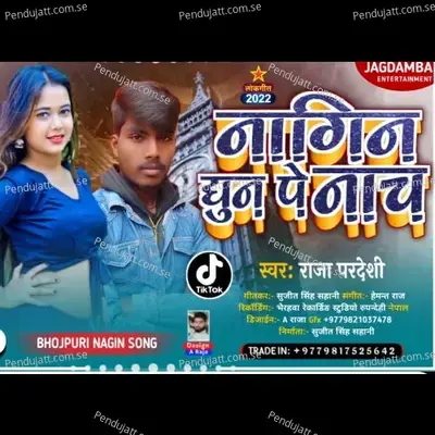 Nagin Dhun Pe Nach - Raja Pardeshi album cover 