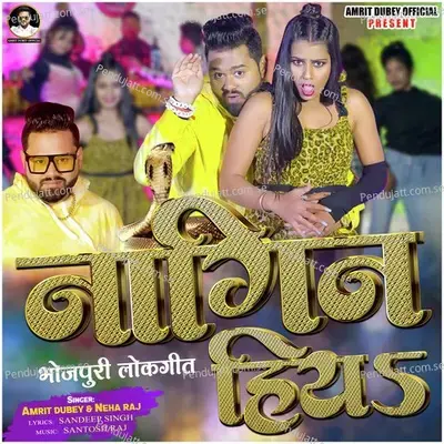 Nagin Hiya - Amrit Dubey album cover 