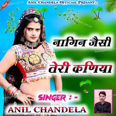 Nagin Jaisi Teri Kaniya - Anil Chandala album cover 